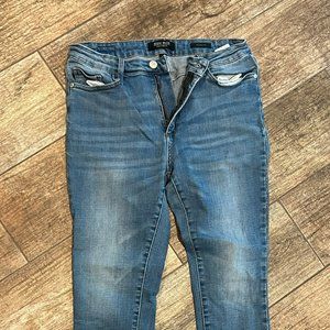 Judy Blue Skinny Fit SIZE 13/31